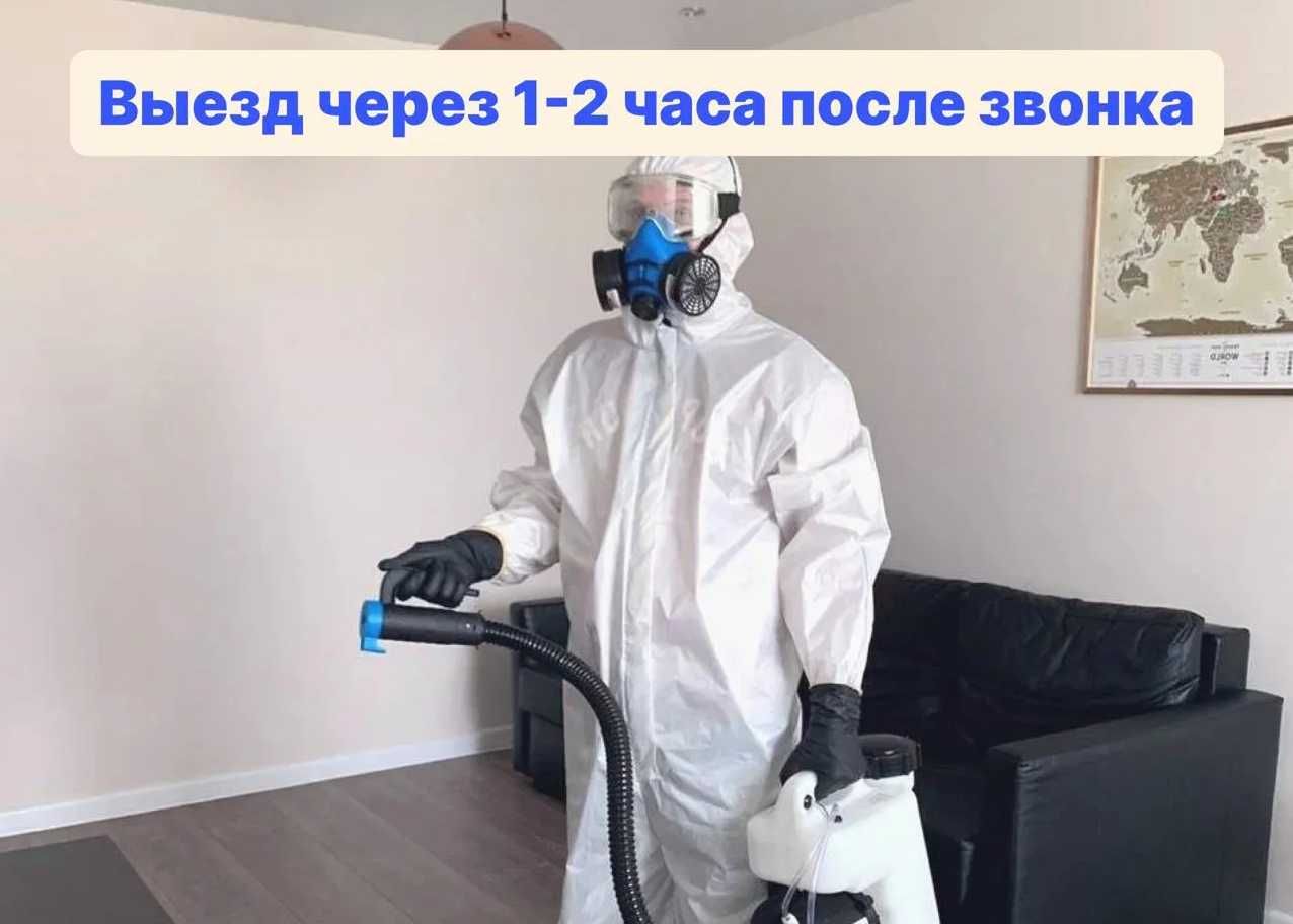 Дезенфекция дизенфекция дезинфекция klop klapa tarakan chivin ilon