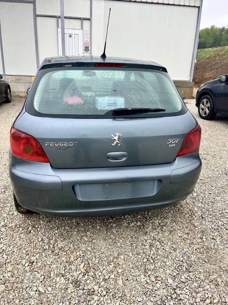 Peugeot 307 2.0 HDI