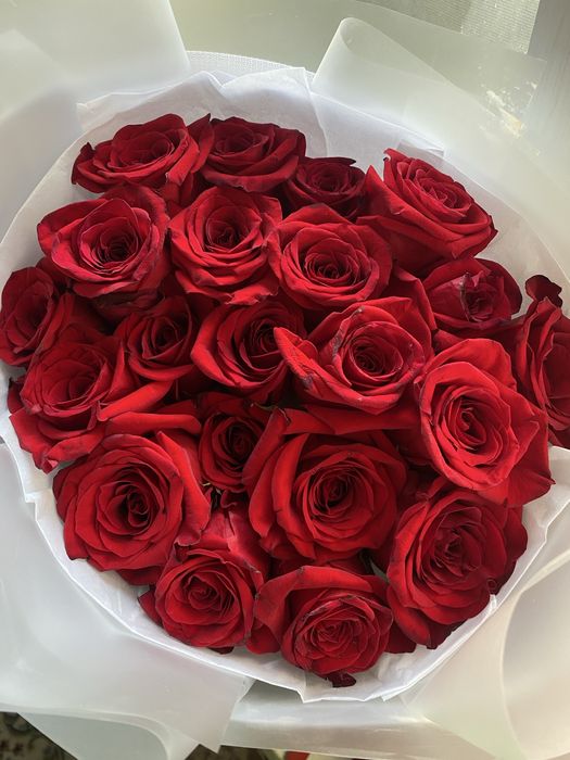 Цветы 8000 свежий кеше келды