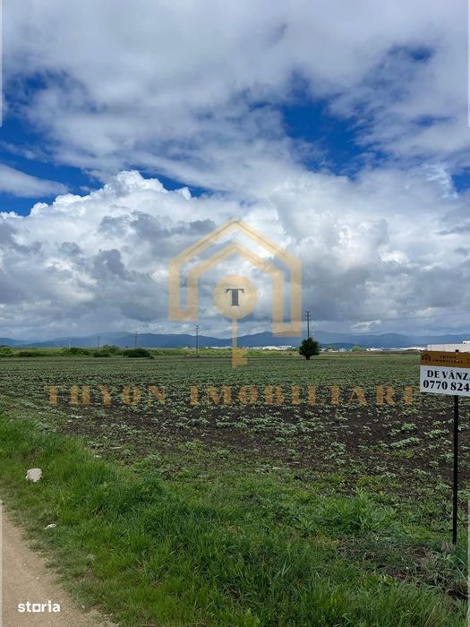 Teren extravilan de vânzare – 4.900 mp, str. Ion Creangă, Sebeș, Alba.