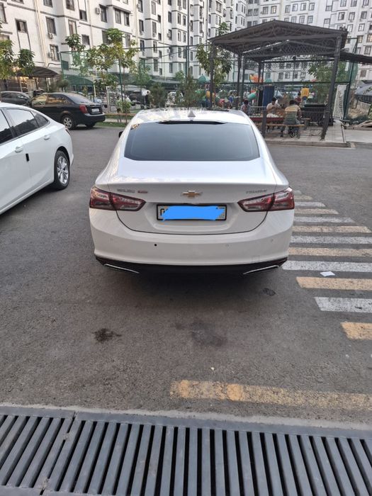 Malibu primer 2021