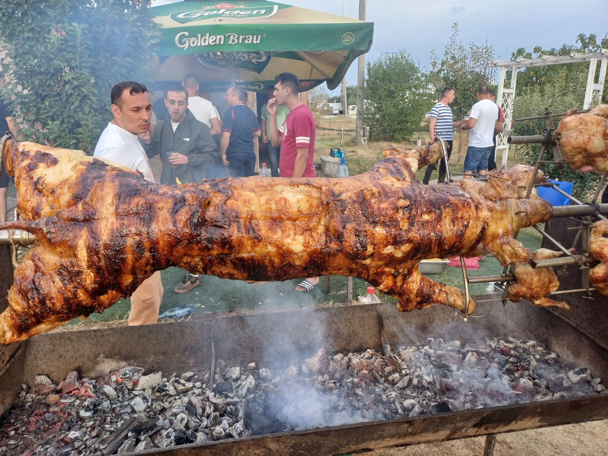 Pregătesc proțap pentru diferite evenimente!