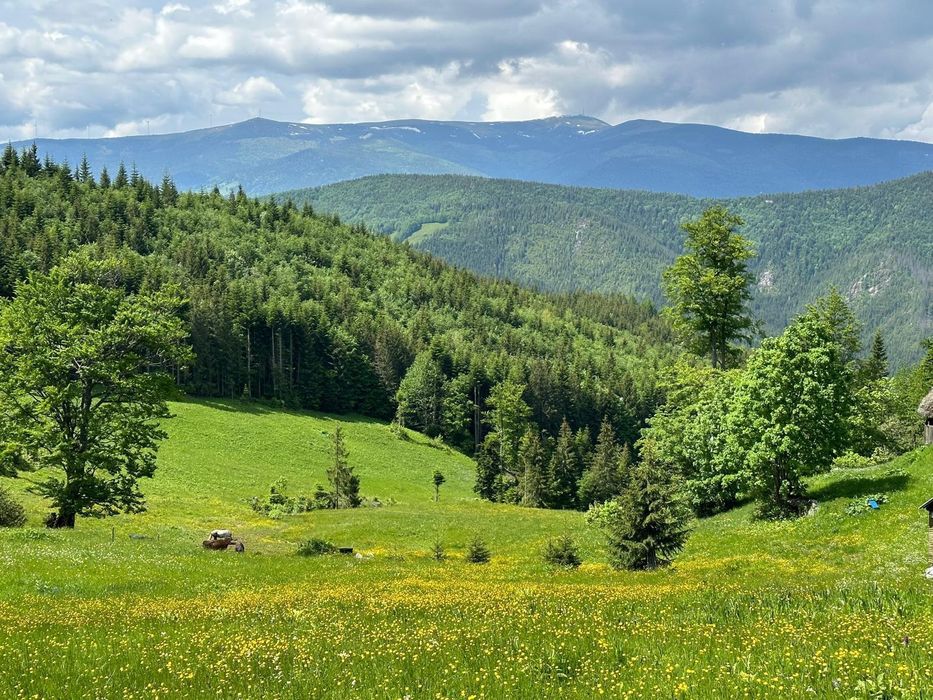 Terenuri extravilane de vânzare – Cozieni, jud. Buzău