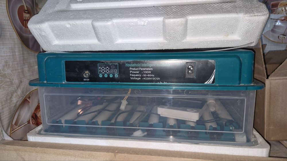 Inkubator 70 - talik