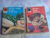 2 cărți de gătit / rețete / bucătărie, anii '80