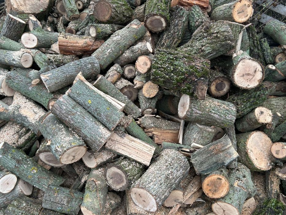 Дърва за огрев :( 1. ТОН 260лв. )