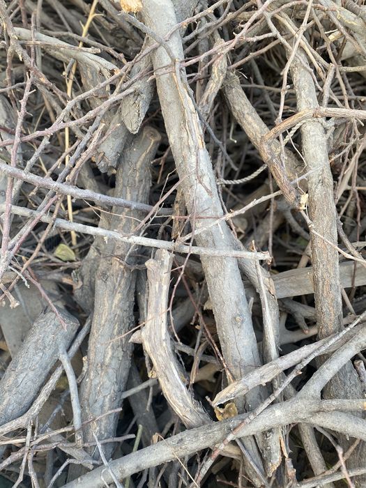 Утин бор,продаются дрова