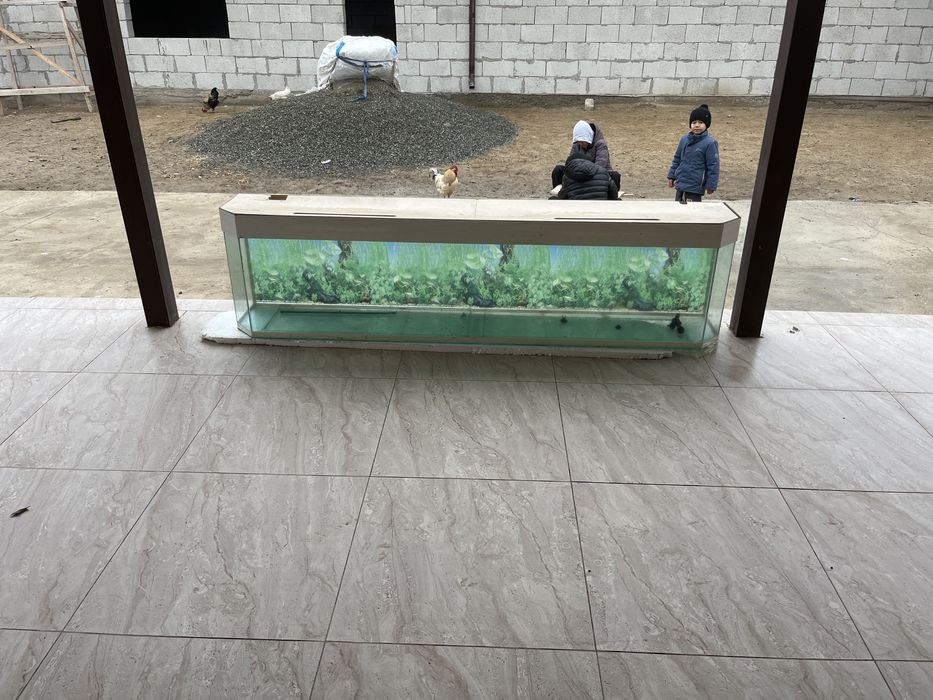 Аквариум в комплекте