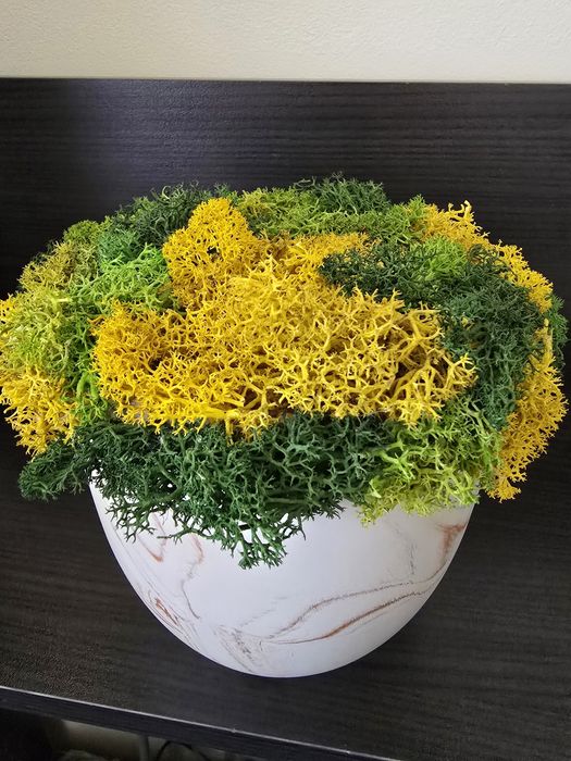 Подаръци с мъх , кашпи с рози