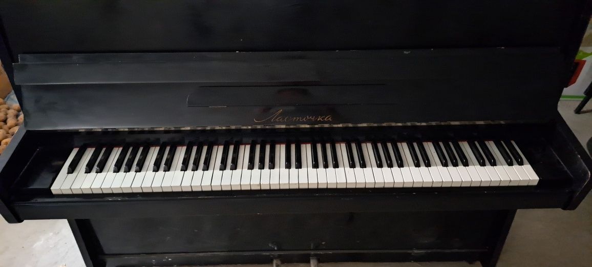 Fortepiano musiqa anjomi