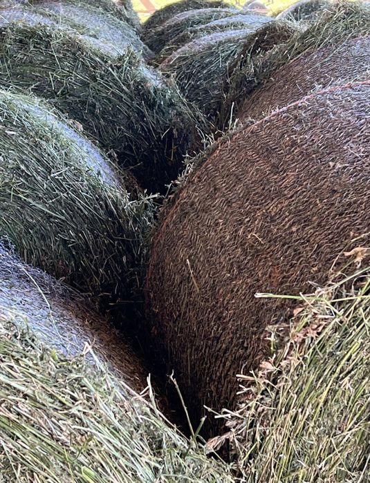 Baloti lucerna baloti fan rotunzi neplouati