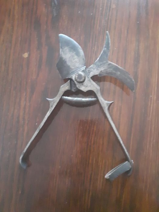 Лозарска ножица за лозе