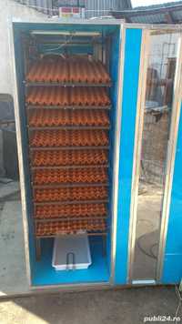 Incubatoare oua automate