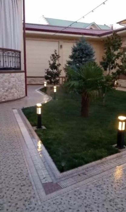 Yevro gazon 10.000 so'm