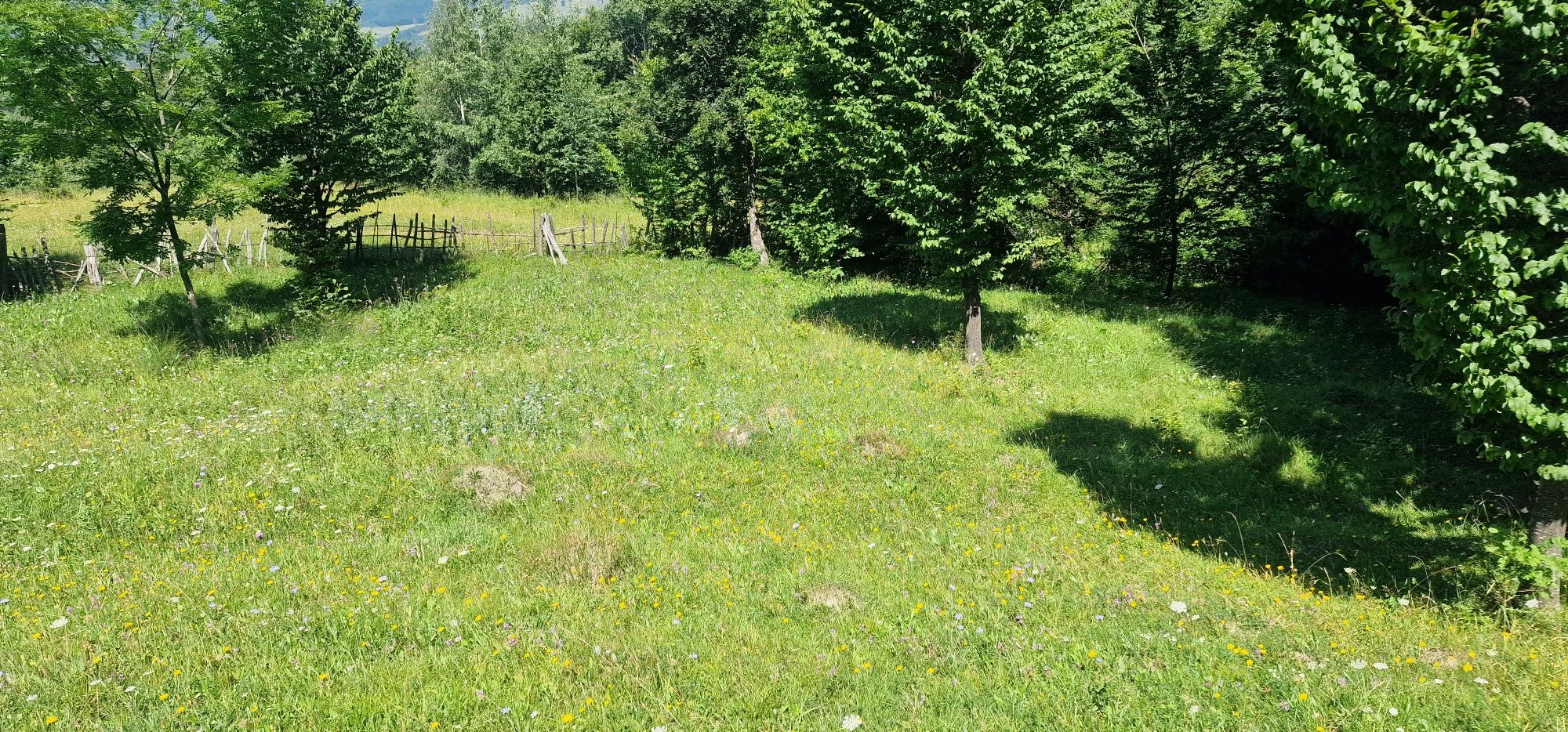 Teren Loturi Talea-Breaza lângă pădure