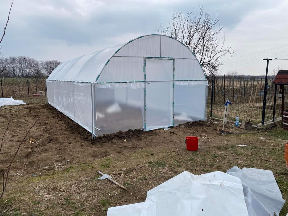 Solarii Legume  si Flori