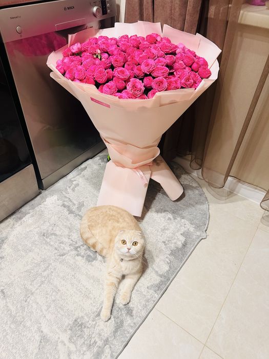 Продам   свежий    букет