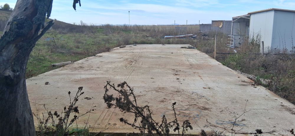 Ferma de vanzare , zona Dambu