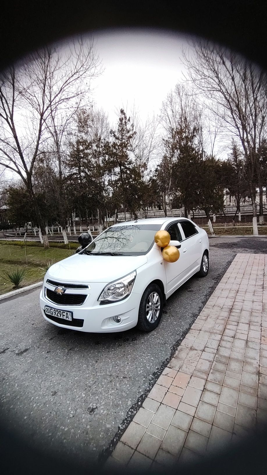 Коболт сотилади срочна