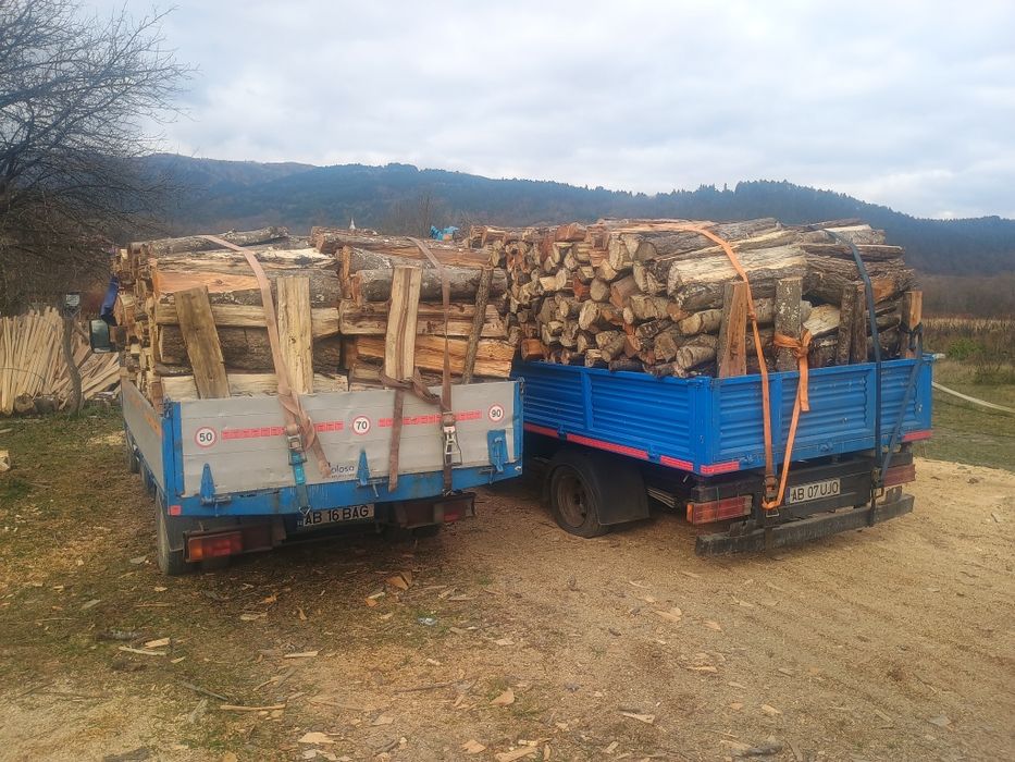 Lemne de foc fag       370 lei metru ster