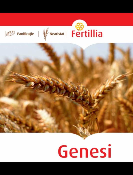 Seminte Grau de Toamna Genesi, 500 kg, Fertillia