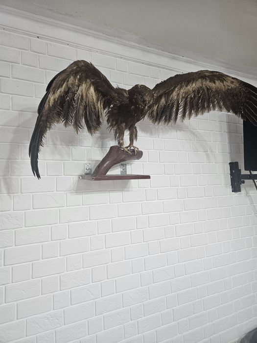 Продается чучело