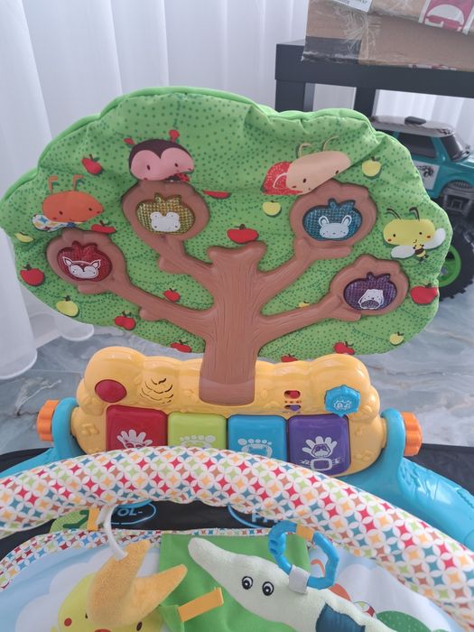 Salteluta de activitati