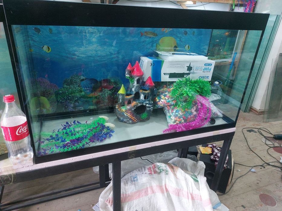 Akvariumlar bor .