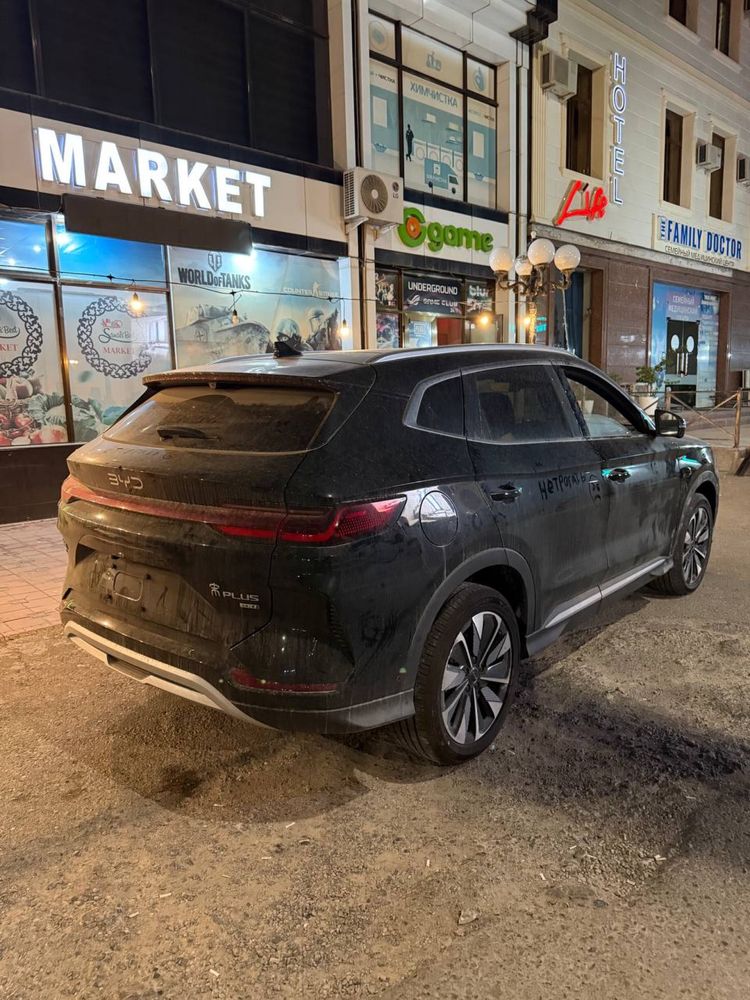 Byd chempion smart