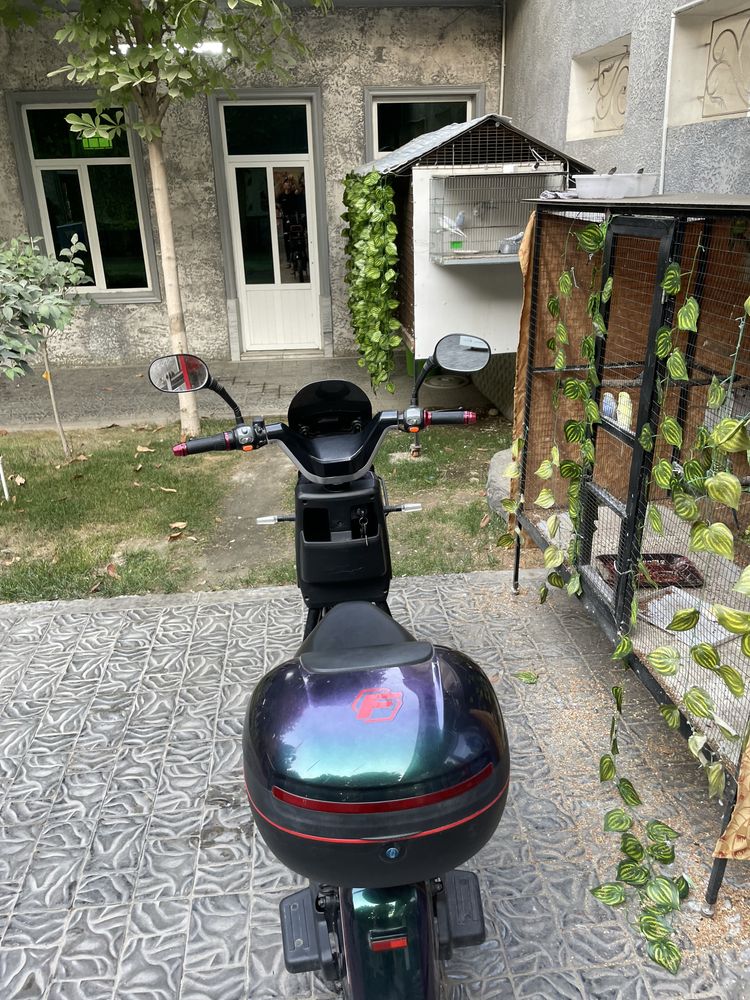 Skuter Model Tesla