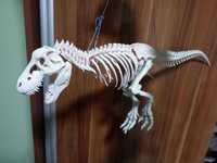 Skelet kolleksioniy dinosavr t rex