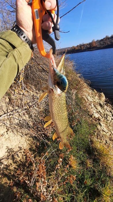 Ръчно изработен джърк модел Bilbo ,цвят /слънчевка/за риболов на щуки