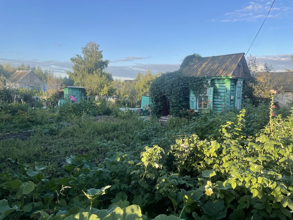 Дача в новопавловке