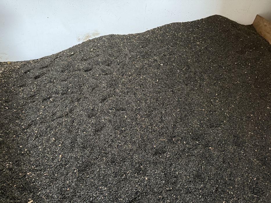 Vand Floarea Soarelui