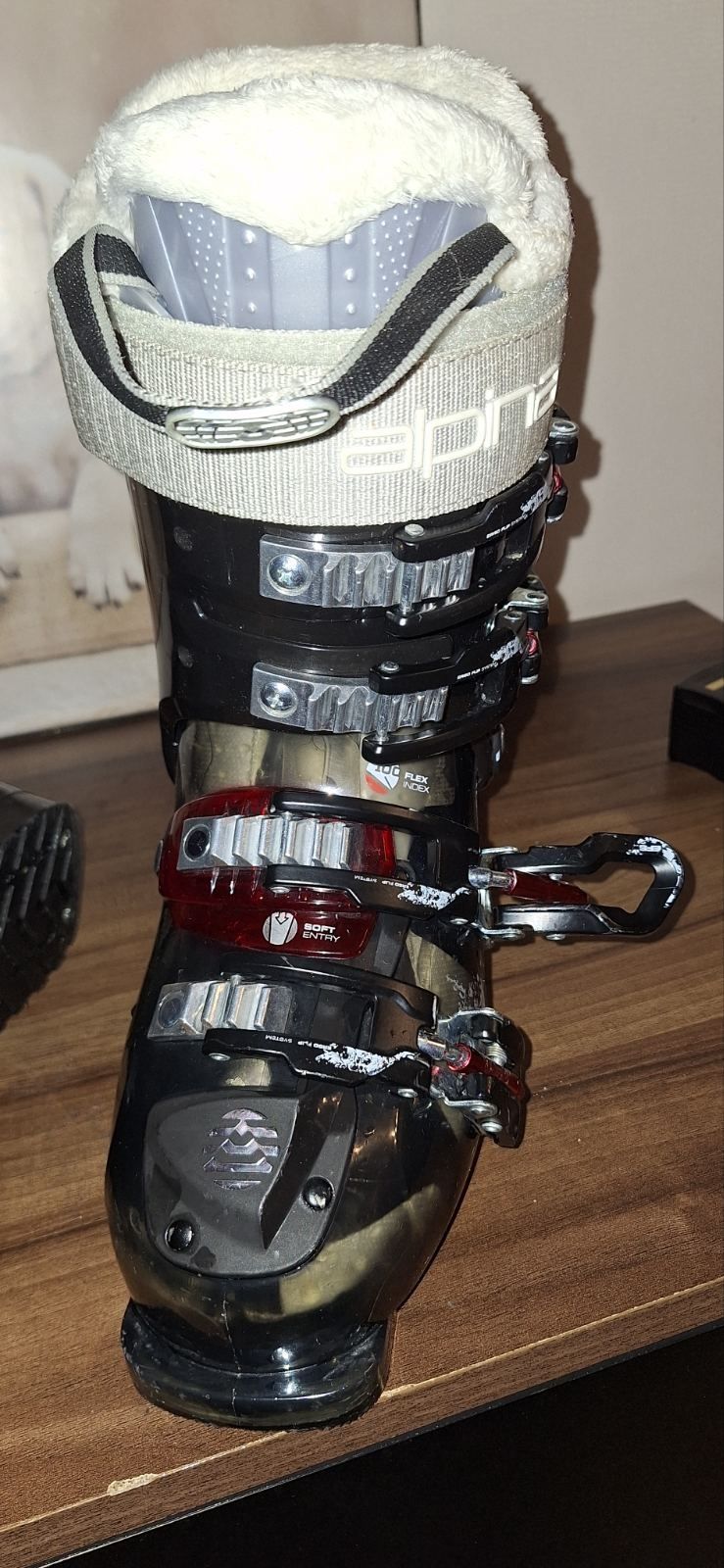Обувките са Alpina EVE 10 Flex 80-100 Soft Entry 4DRY
  Flex