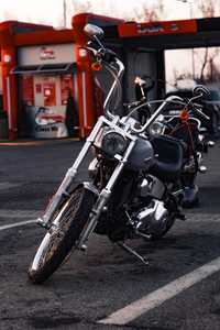 Harley Davidson - Softail Custom 2009