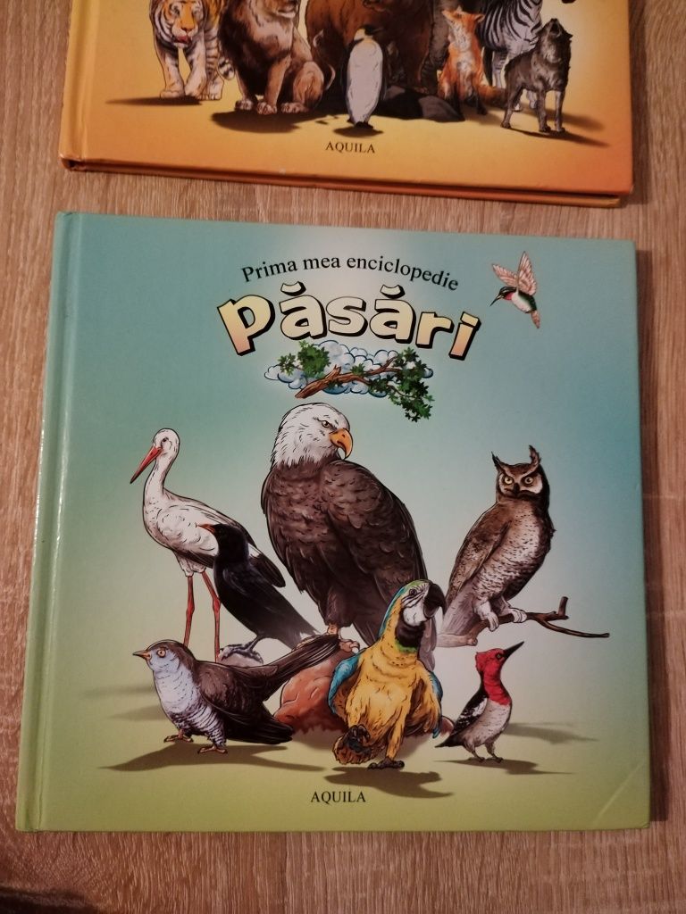Cărți Animale, Păsări copii