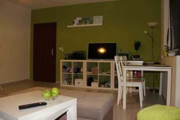 Двустаен имот в Дървеница