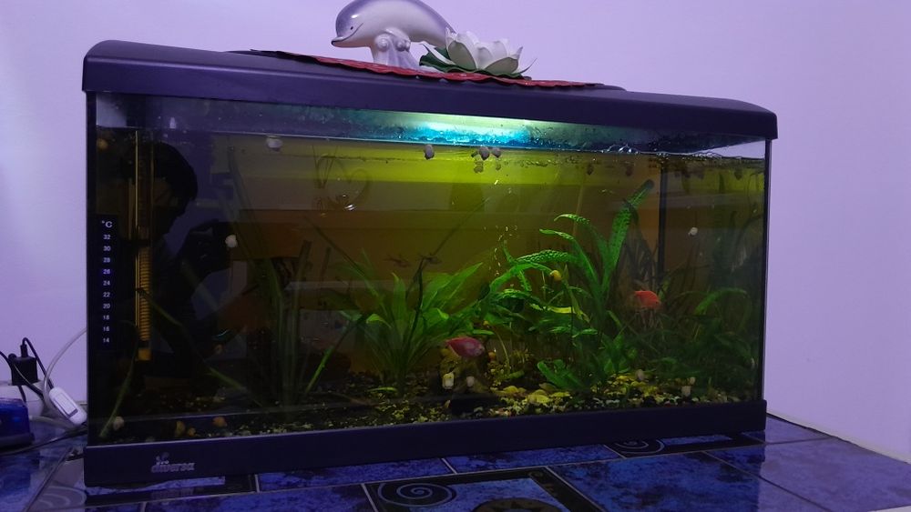 Acvariu pentru pești  150L