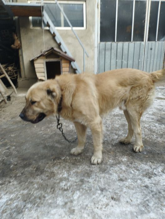 Открыт для вязок.