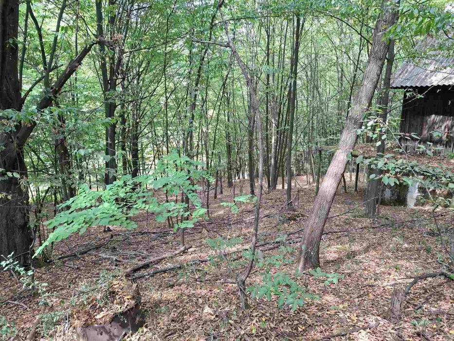 Продава парцел в Правец, махала Живковска