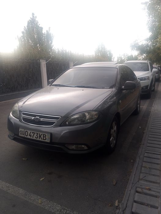 Orqa 2 kriloda kraska bor
