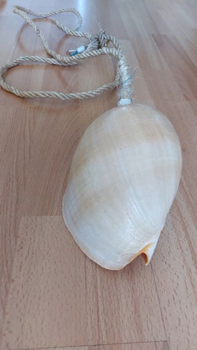 Set corpuri iluminat