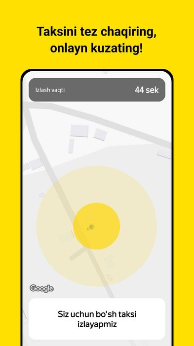 Taxi programma, biznes