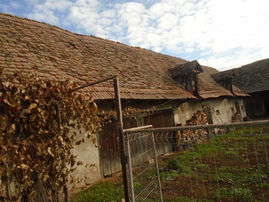 Casă de vânzare - sat Pelișor
