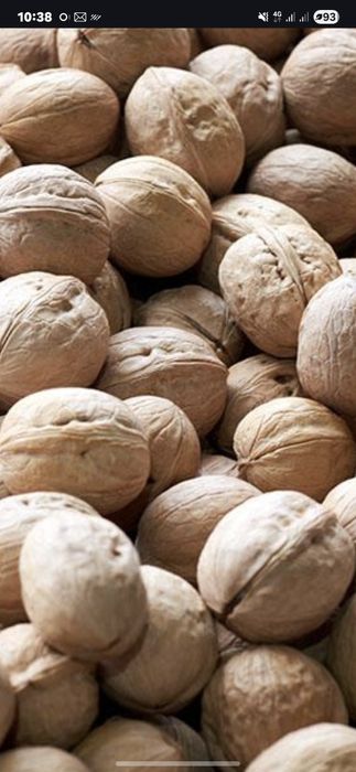 Продам орехи из сада