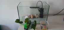 Acvariu 10 l cu toate accesoriile