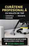 Curatenie la domiciliu