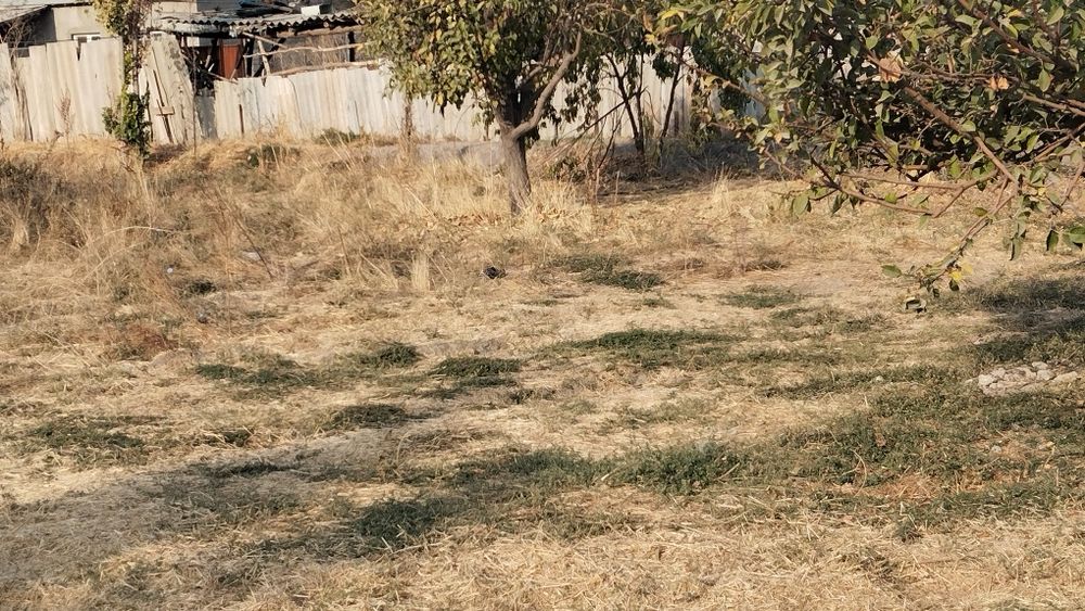 Yer sotiladi 5 sotix