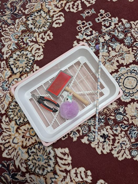 Латок для кошек и котят